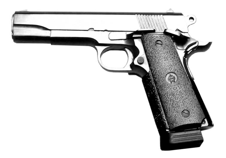 Norinco 1911A1 BigTen (NP30) Nickel, kal. 45 ACP