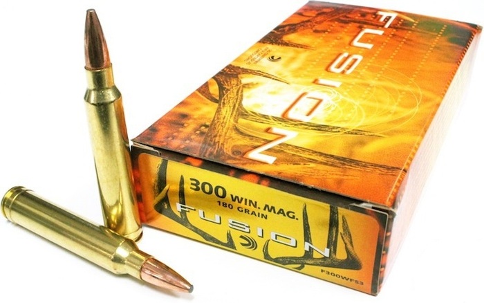 .300 Win. Mag. Federal Fusion SP 180gr/11,66g