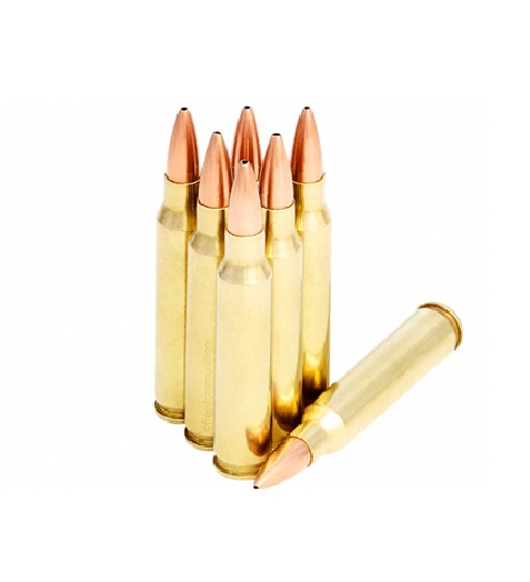.223 Rem. S&amp;B HPBT 69gr/4.5g 2