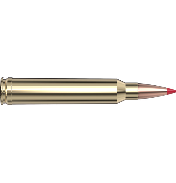 .300 Win. Mag. Hornady Precision Hunter ELD-X 178 gr / 11,5 g