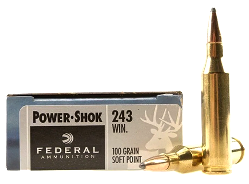 .243 Win. Federal Power-Shok 100gr/6,48g