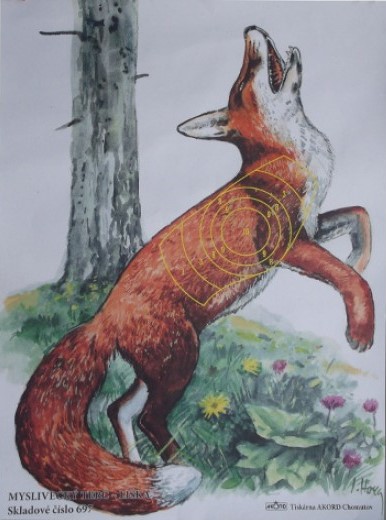 Terč Líška
