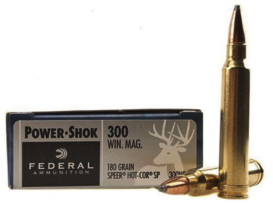 .300 Win. Mag. Federal Power-Shok 180gr/11,7g